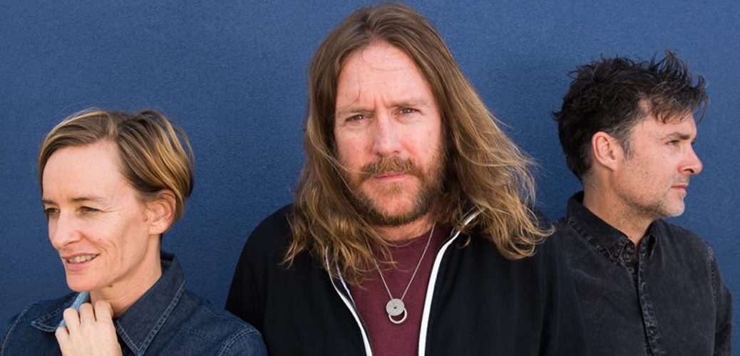 spiderbait
